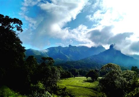 Le Parc National de la Bale Mountains : Un paradis pour les randonneurs et les amoureux de la faune