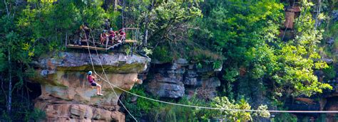 Le Drakensberg Canopy Tour: Une Aventure Suspendue au-dessus des Montagnes majestueuses!