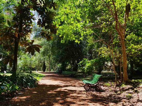 Le Jardin Botanique de Culiacán: Un Oasis verdoyant et une expérience culturelle immersive !